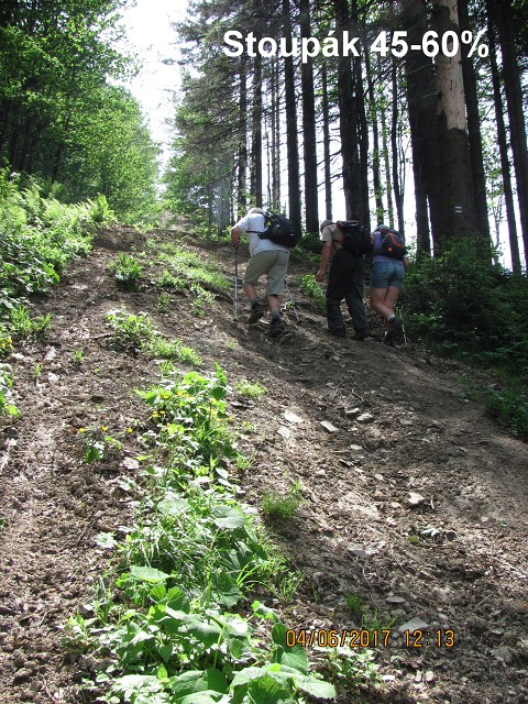 img00074.jpg
