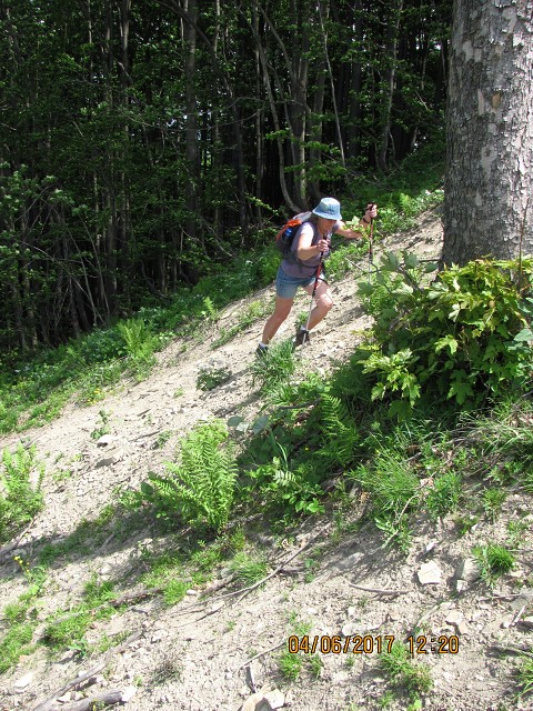 img00075.jpg