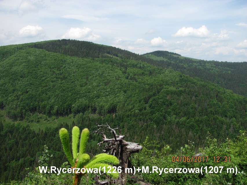 img00077.jpg