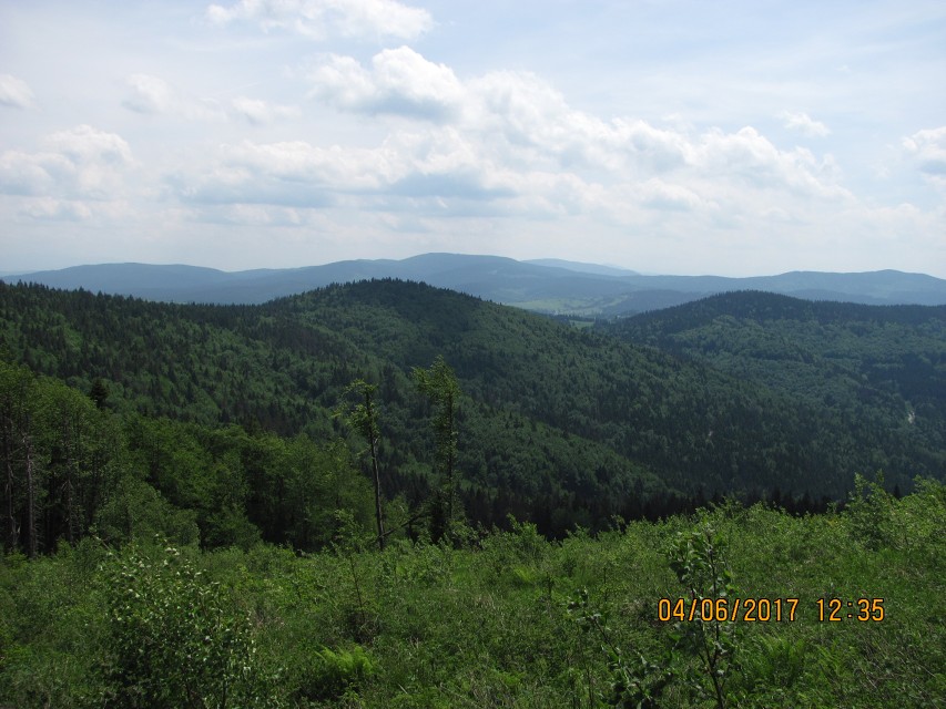 img00078.jpg