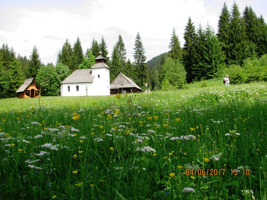 img00085.jpg