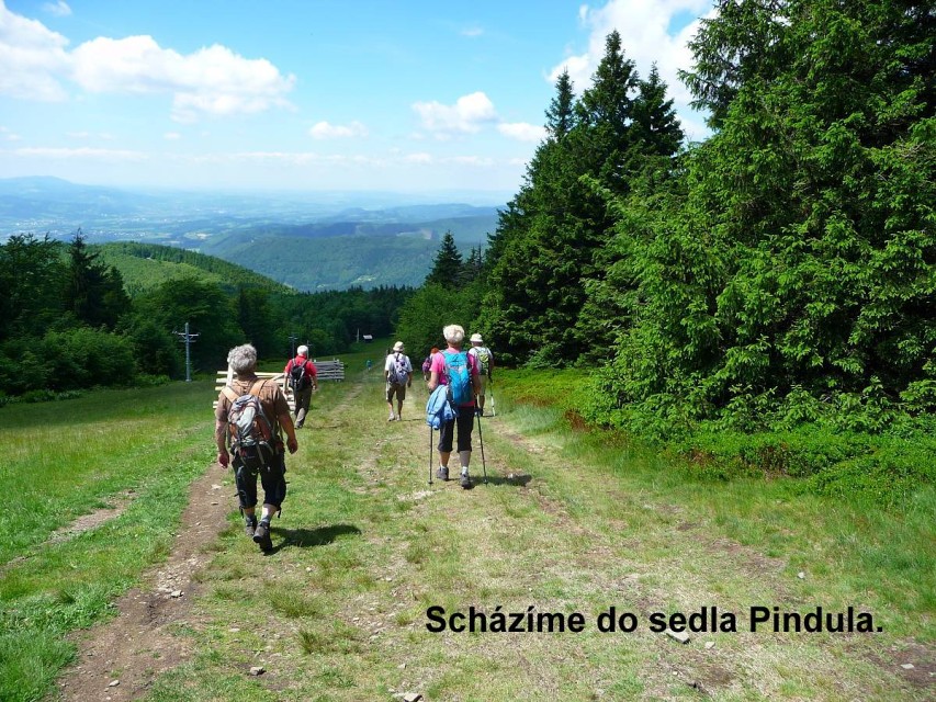 img00019.jpg