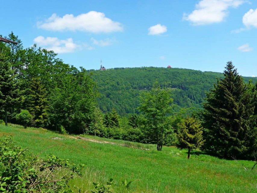 img00020.jpg
