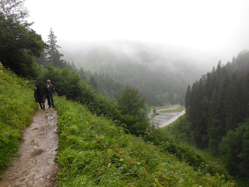 img00005.jpg