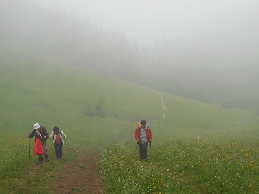 img00010.jpg