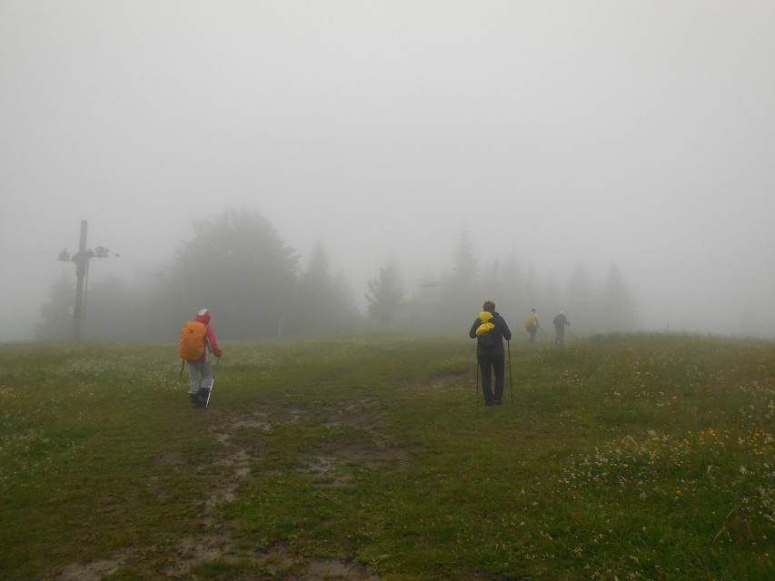 img00018.jpg