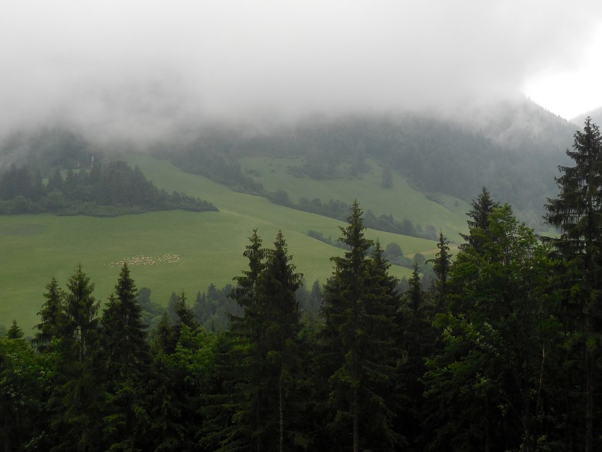 img00024.jpg