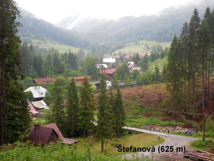img00025.jpg