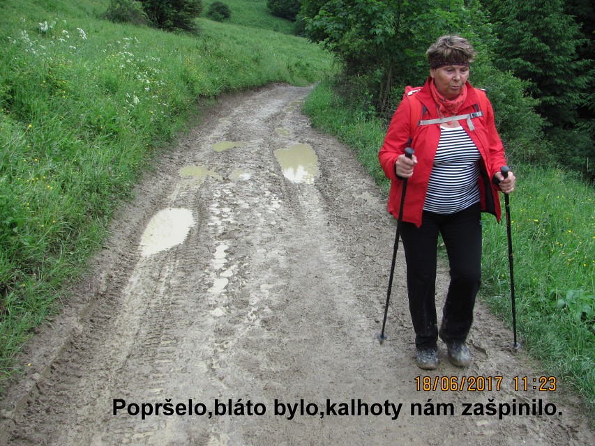 img00033.jpg