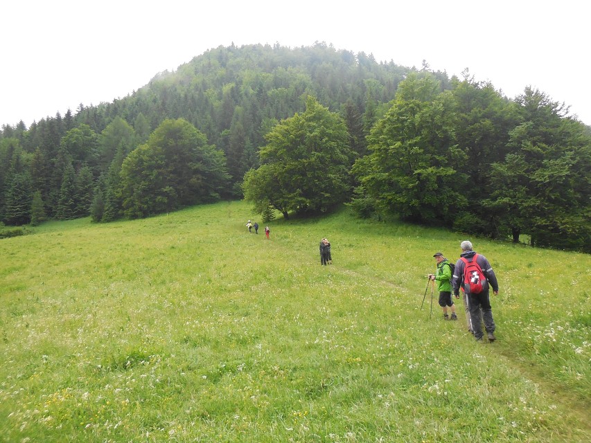 img00035.jpg