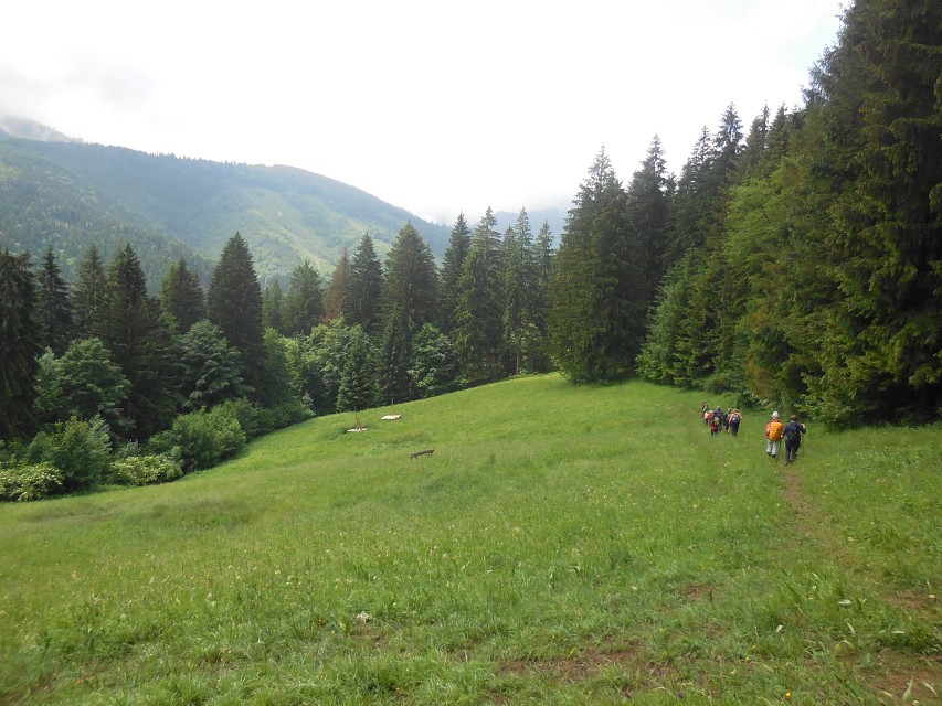 img00038.jpg