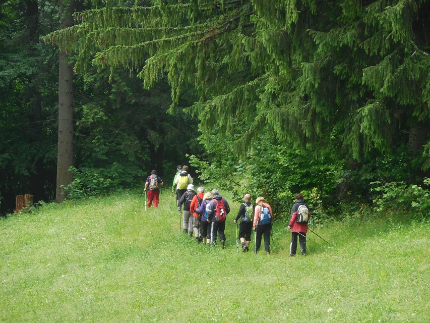 img00039.jpg