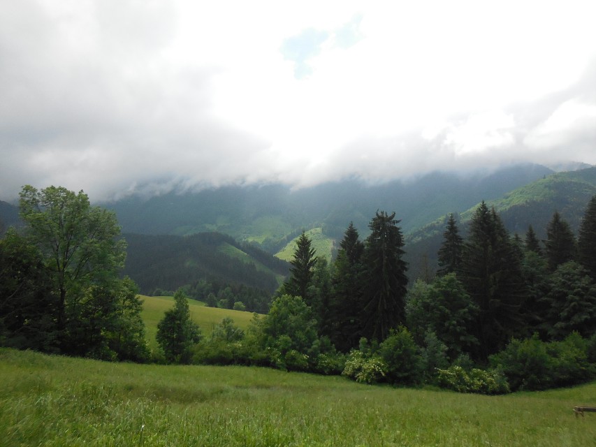 img00040.jpg