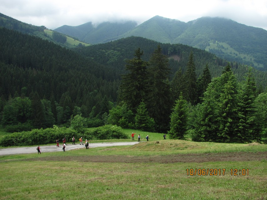 img00041.jpg