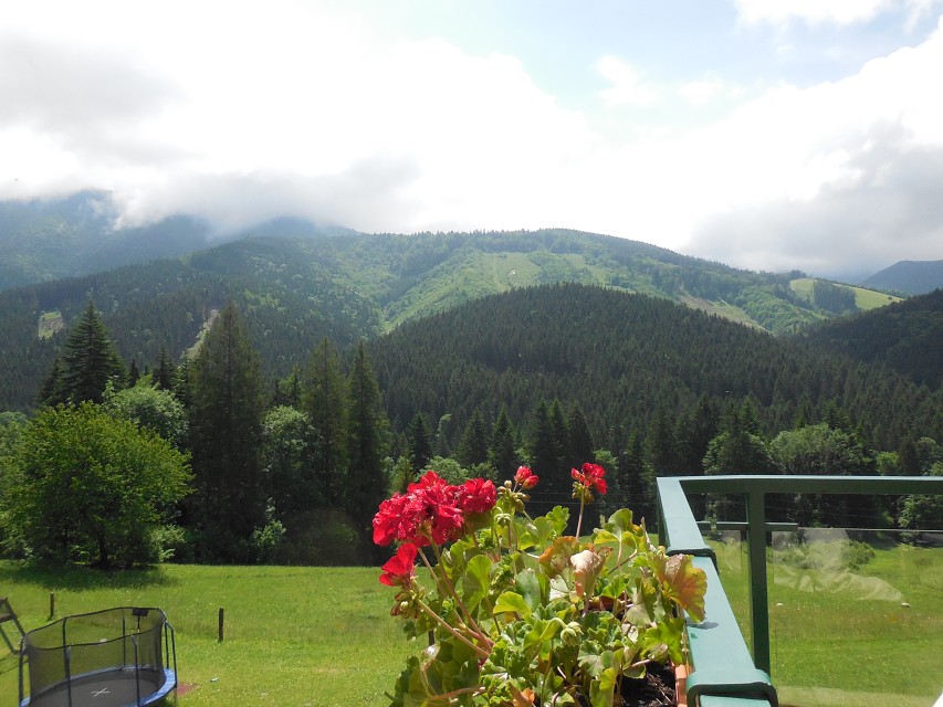 img00045.jpg