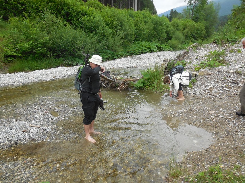 img00050.jpg