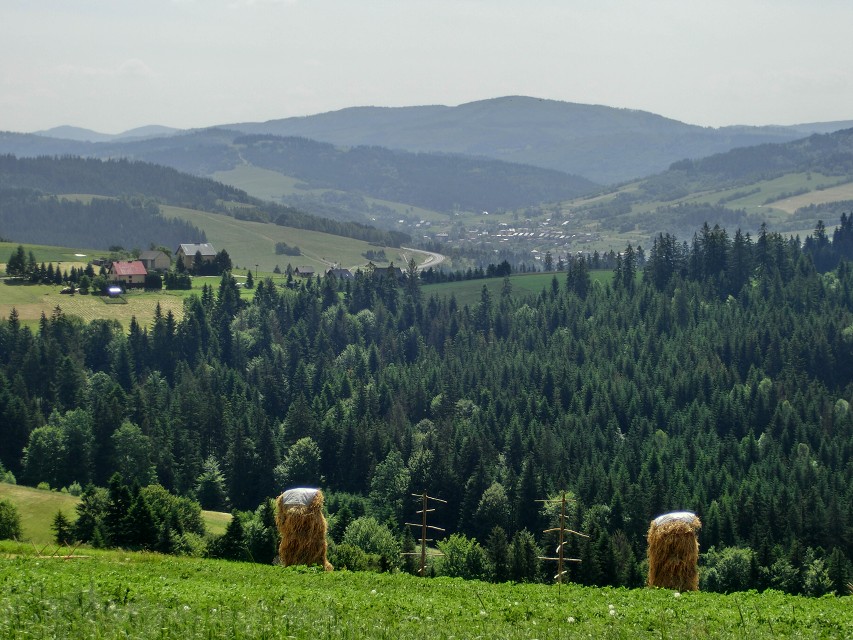 img00007.jpg