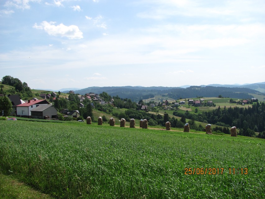 img00008.jpg