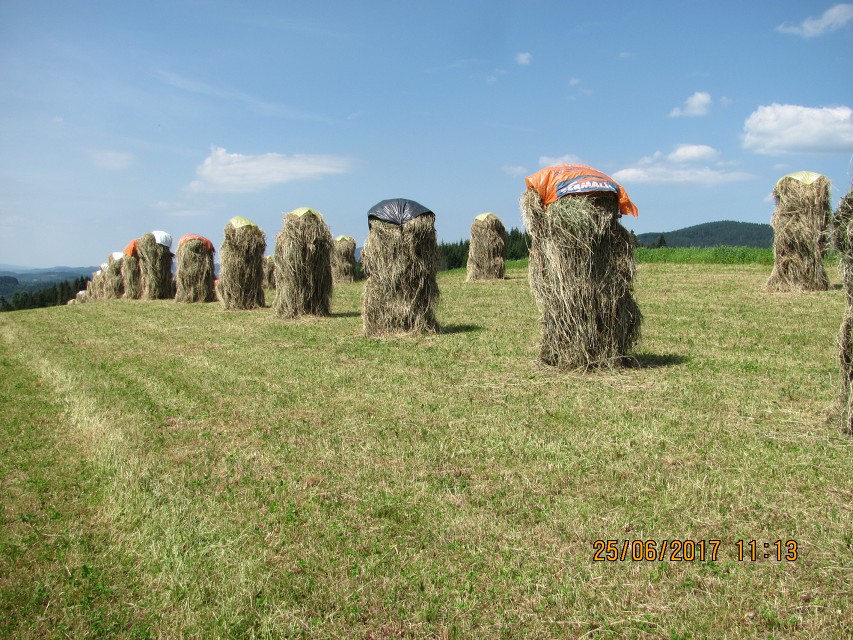 img00010.jpg