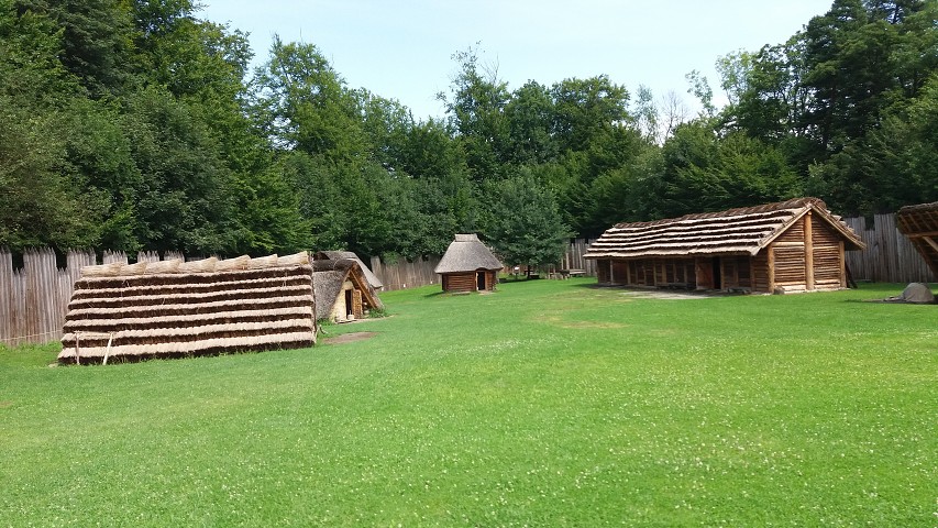img00021.jpg