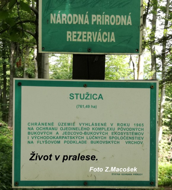 img00001.jpg