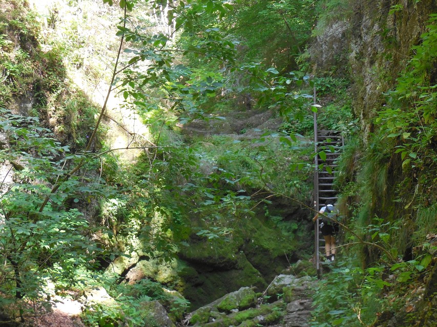 img00010.jpg