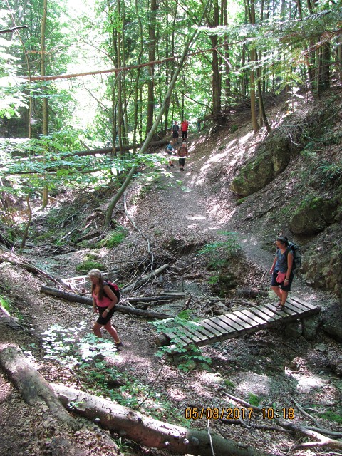 img00012.jpg