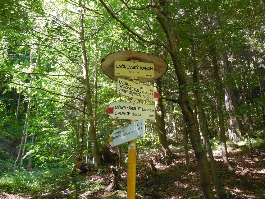 img00013.jpg