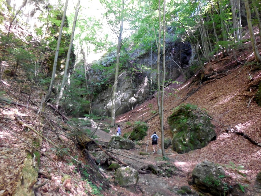 img00014.jpg