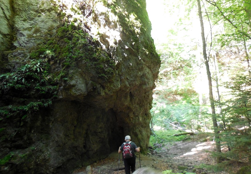 img00015.jpg