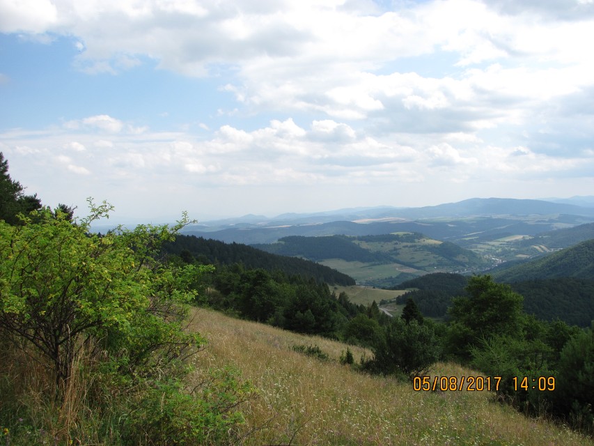 img00024.jpg
