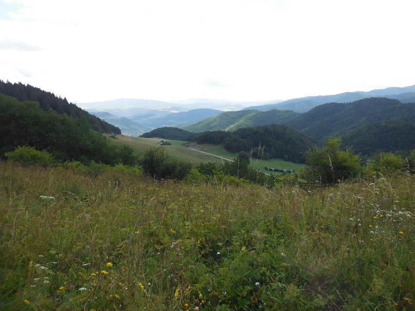 img00034.jpg