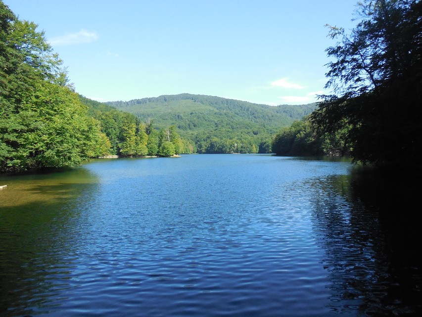 img00044.jpg