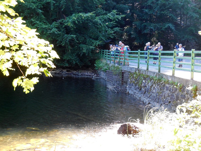 img00045.jpg
