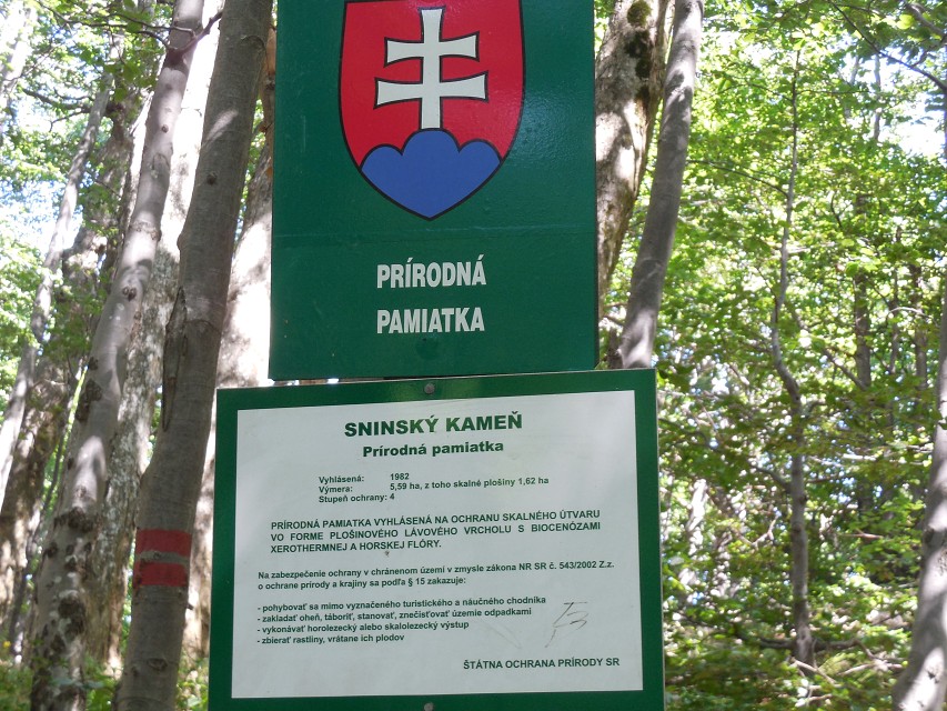 img00050.jpg