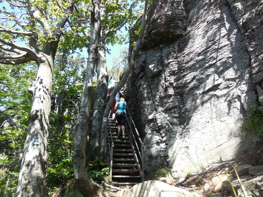 img00051.jpg