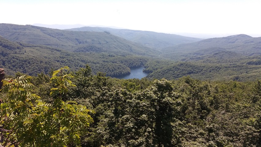 img00062.jpg