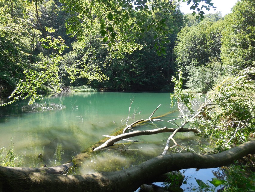 img00066.jpg