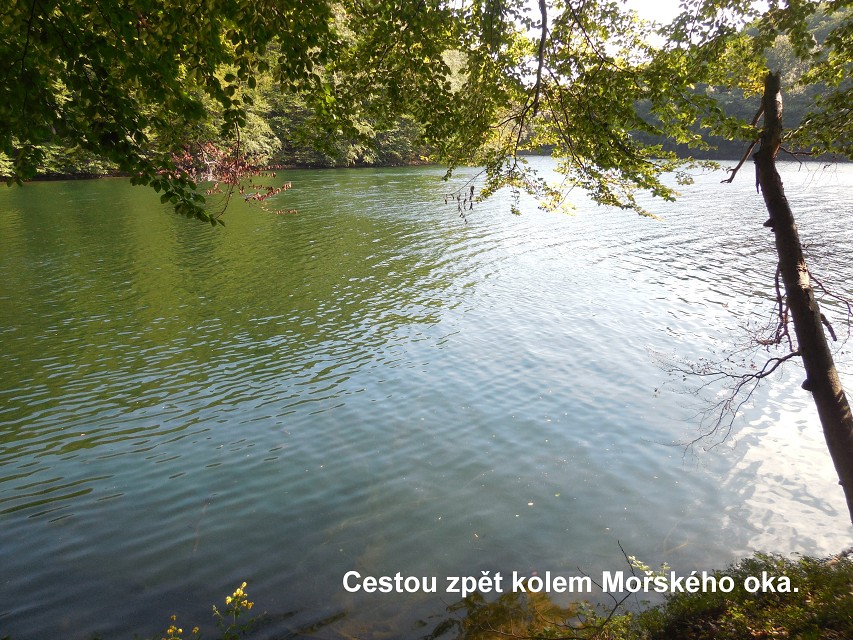img00070.jpg