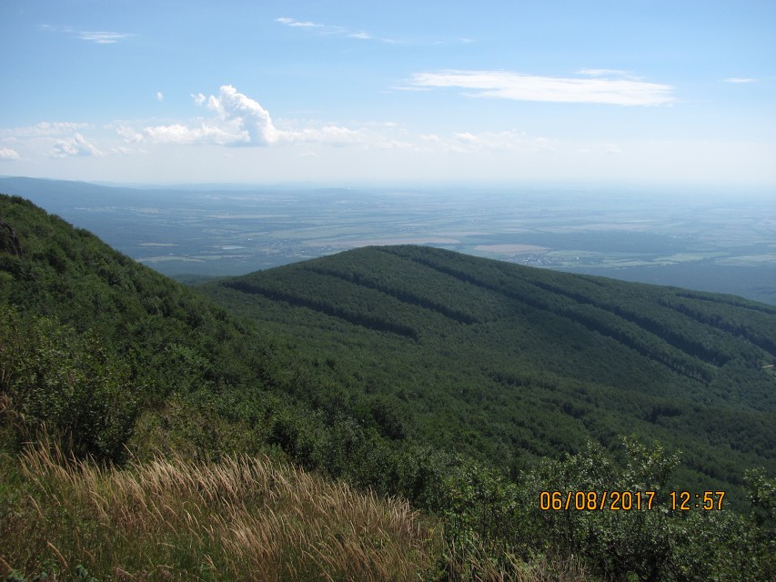 img00080.jpg
