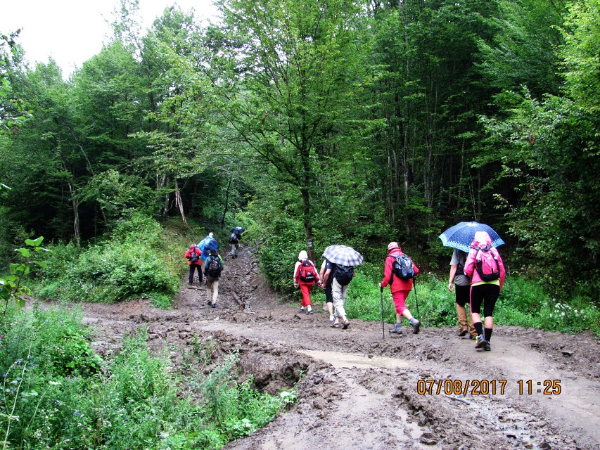 img00092.jpg