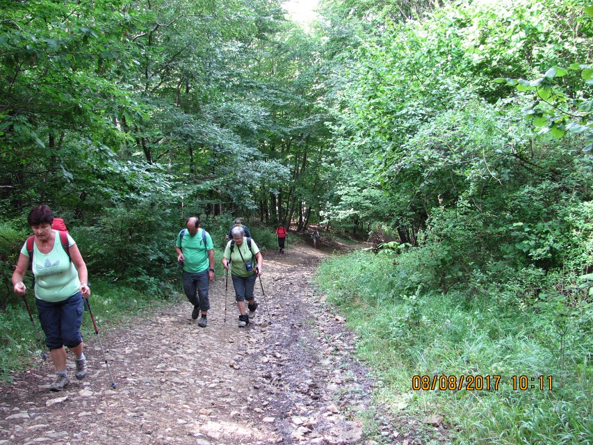 img00115.jpg