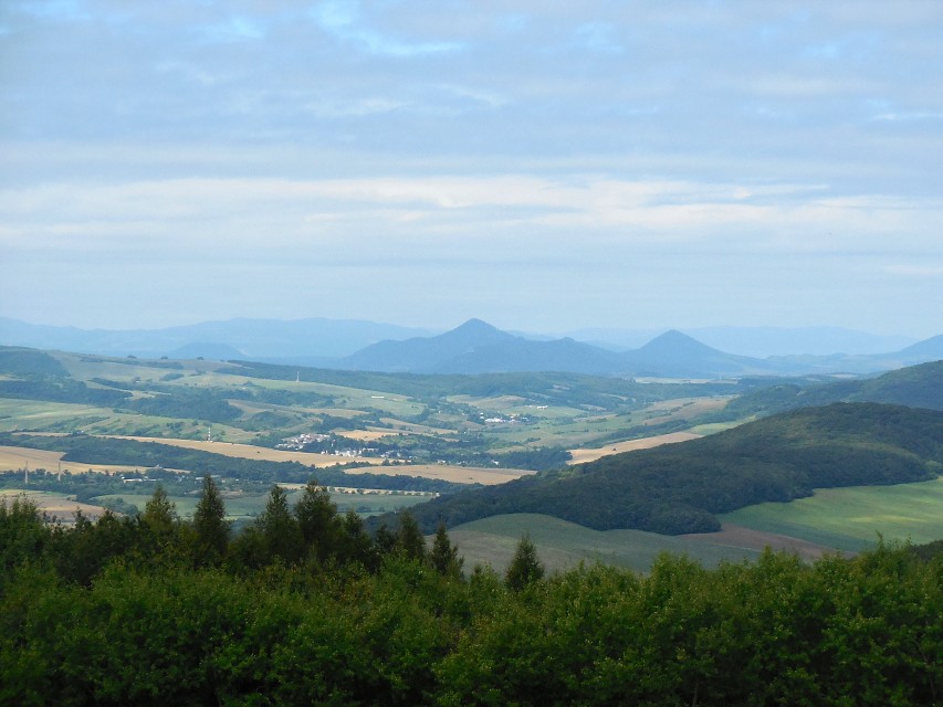 img00119.jpg