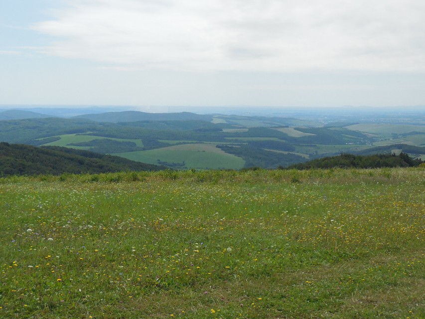 img00130.jpg