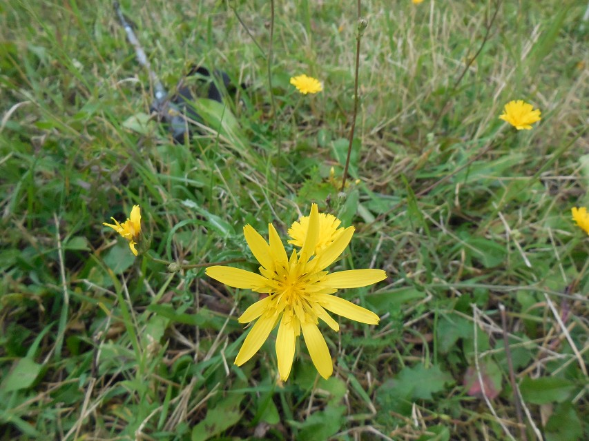 img00133.jpg