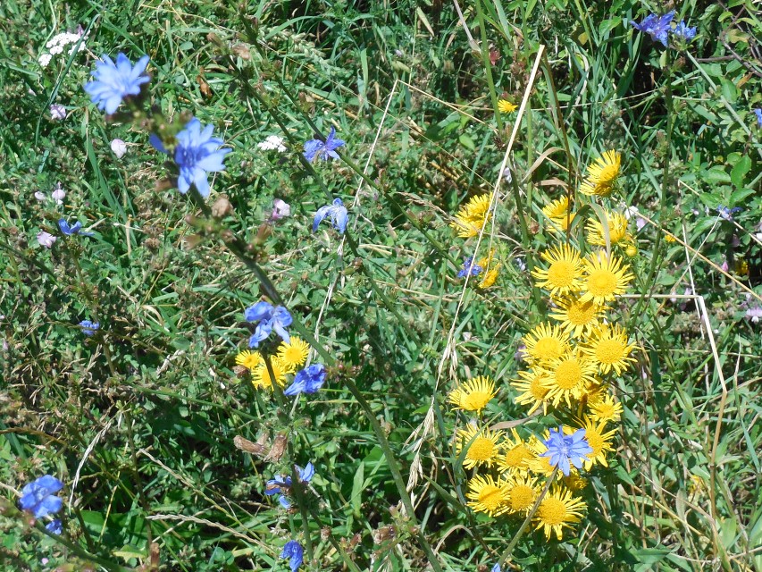 img00140.jpg