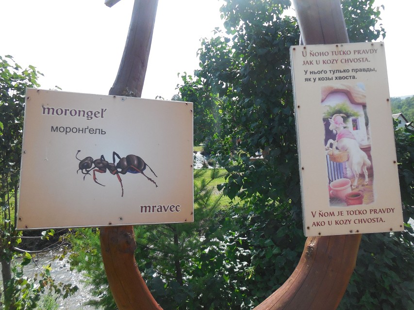img00158.jpg