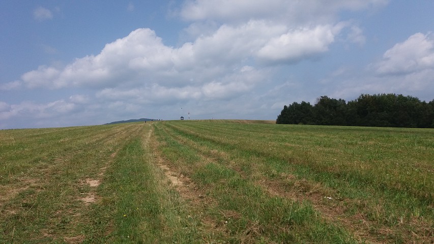 img00165.jpg