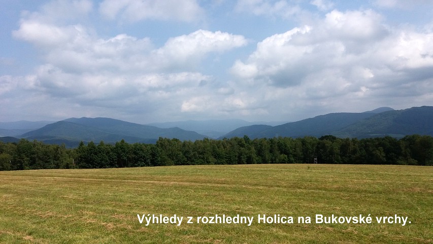 img00170.jpg