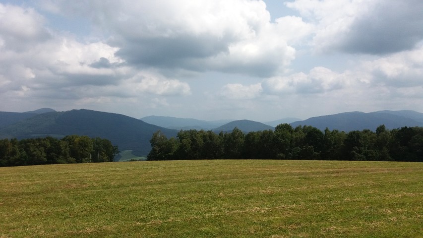 img00171.jpg